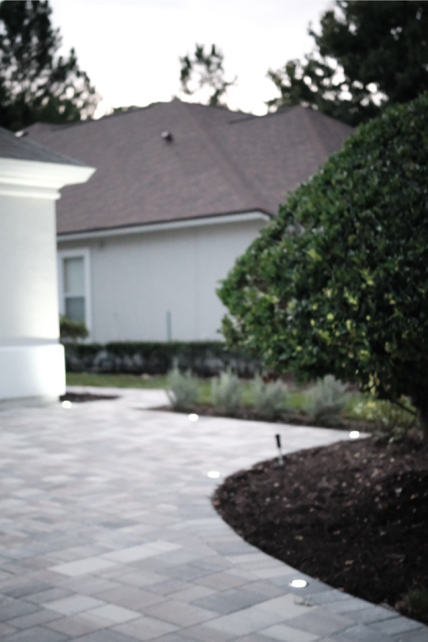 Garden path with landscape lighting